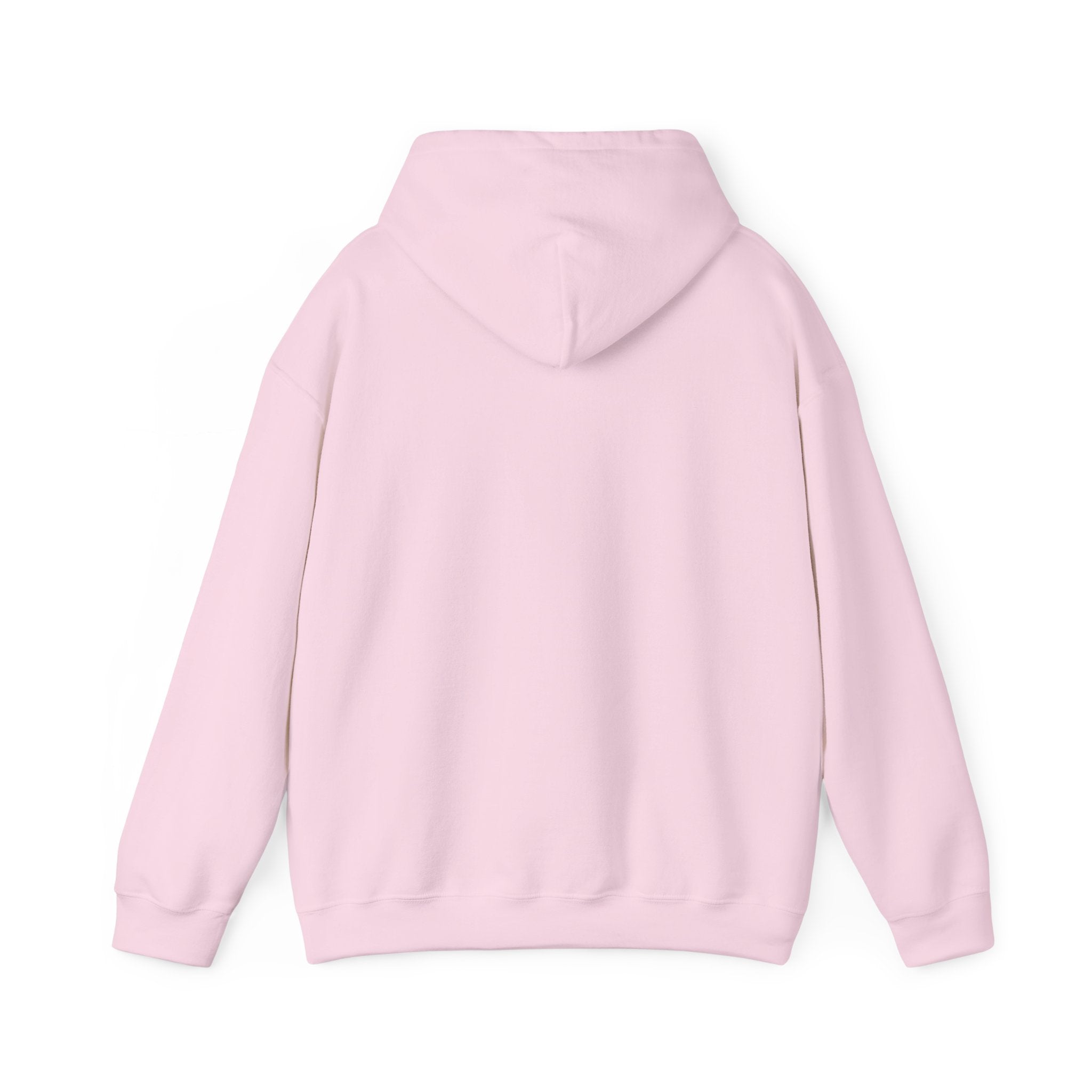 Jesus Society Streetwear Hoodie (Unisex)