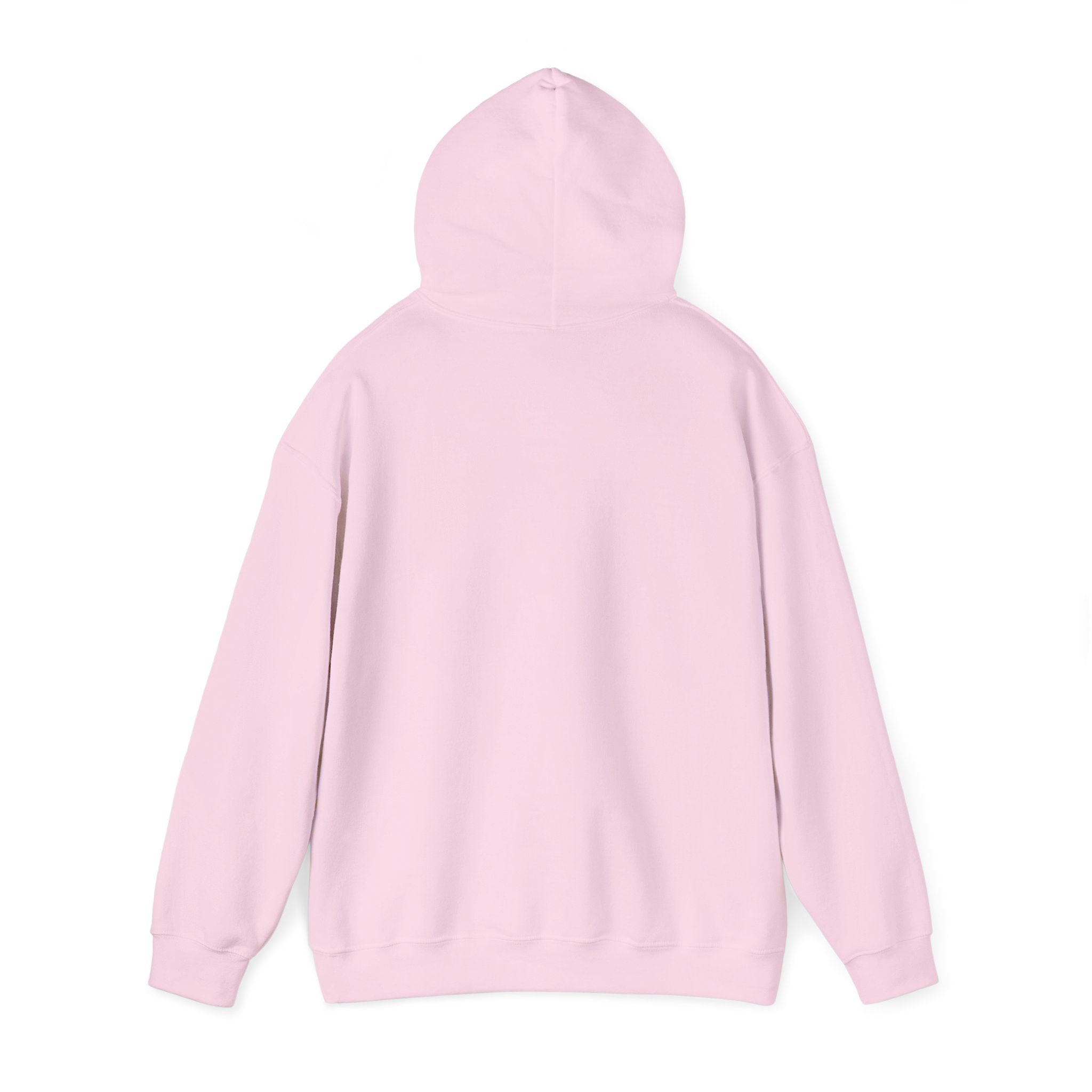 Jesus Society Streetwear Hoodie (Unisex)